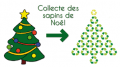 Collecte sapins